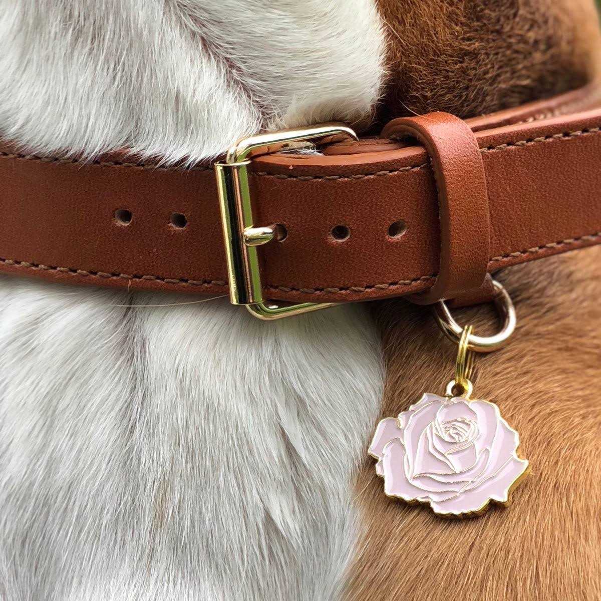 Rose Pet W122278
