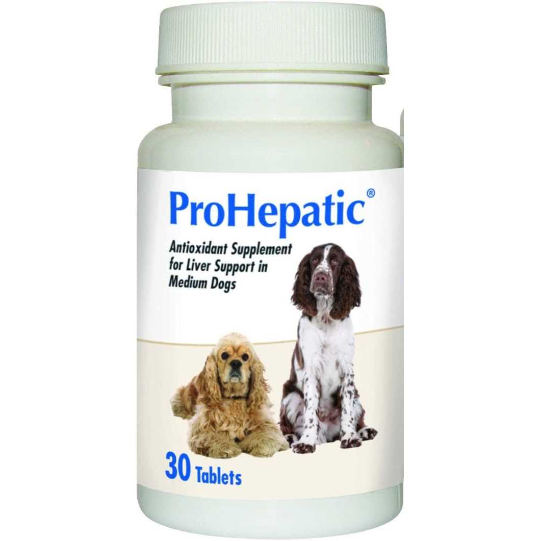 Liver Support Chewable Tablets Dogs J442417
