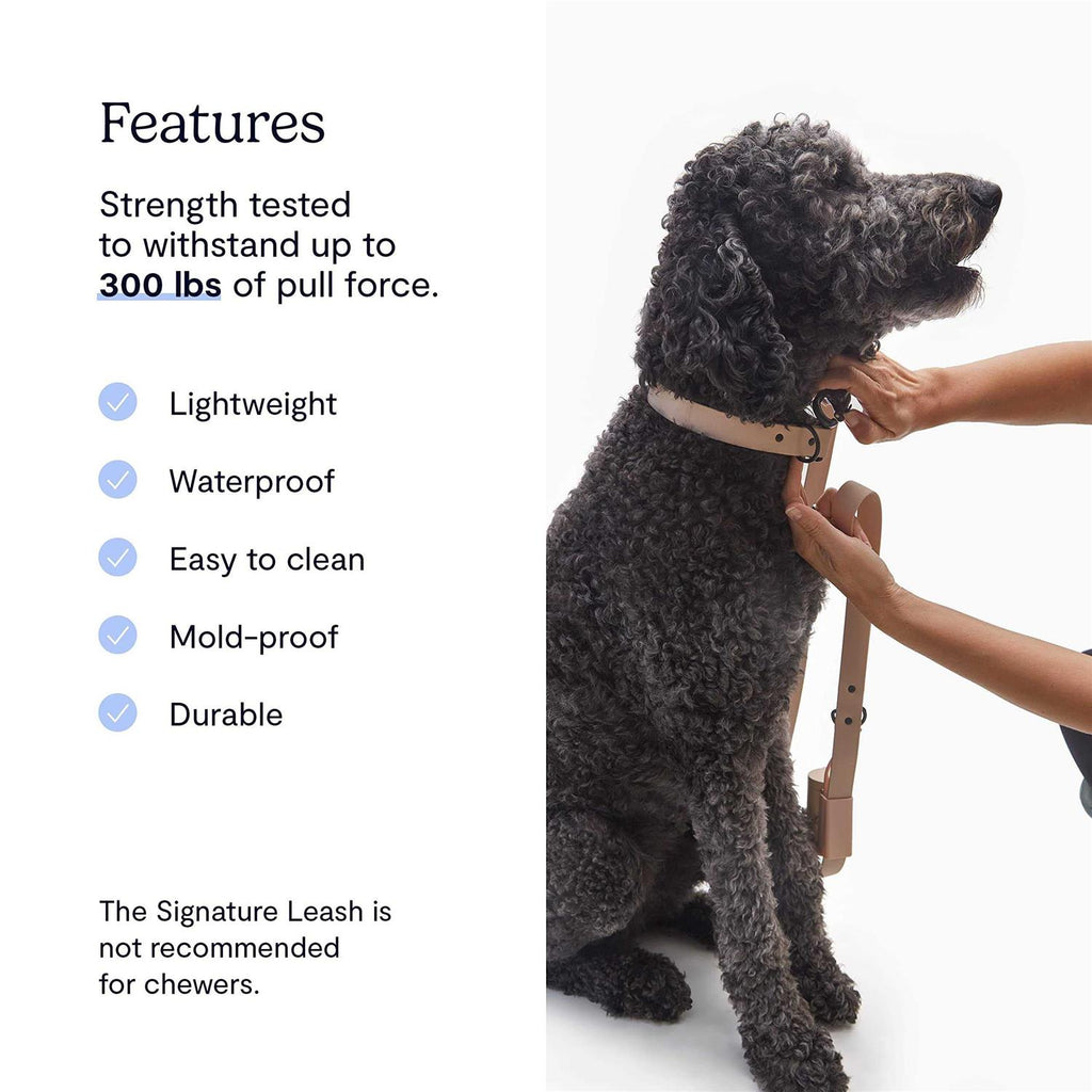 Dog Leash R48779