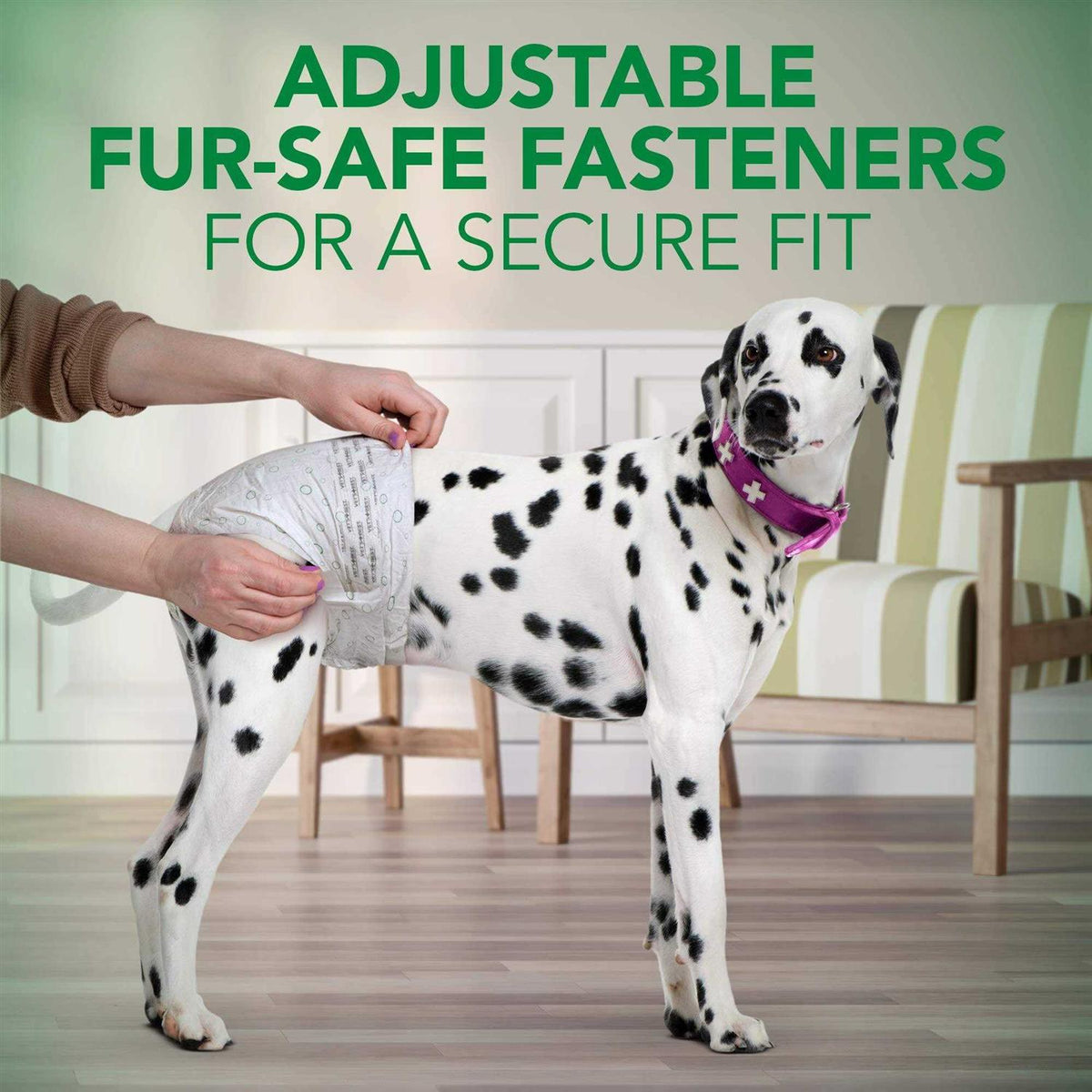 Disposable Female Dog Diapers K8272