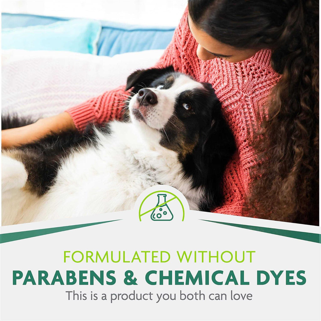 Dry Shampoo F241