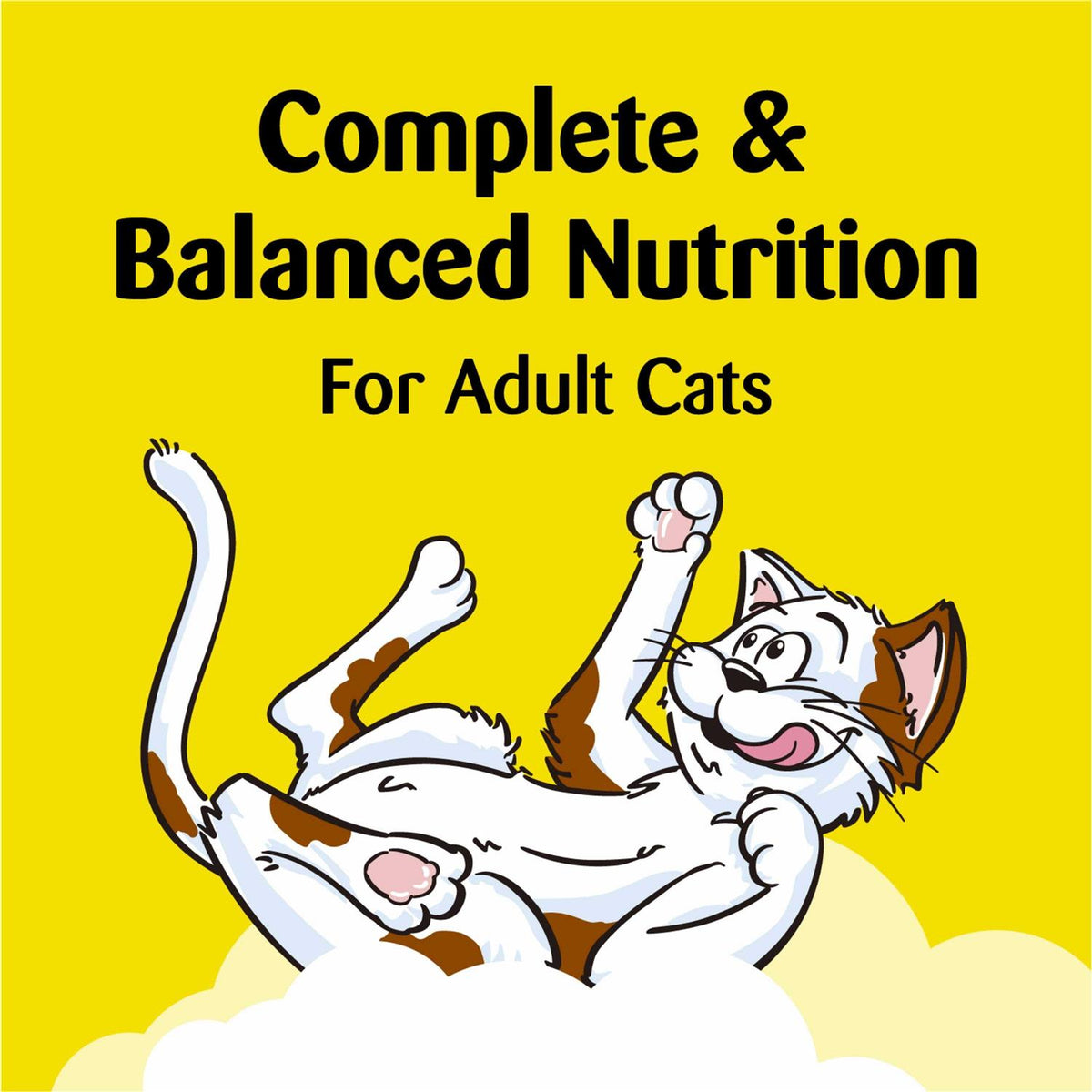 Cat Treats Z9304