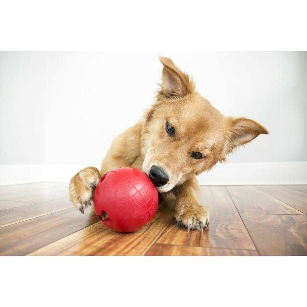 Biscuit Ball Dog Toy M500815