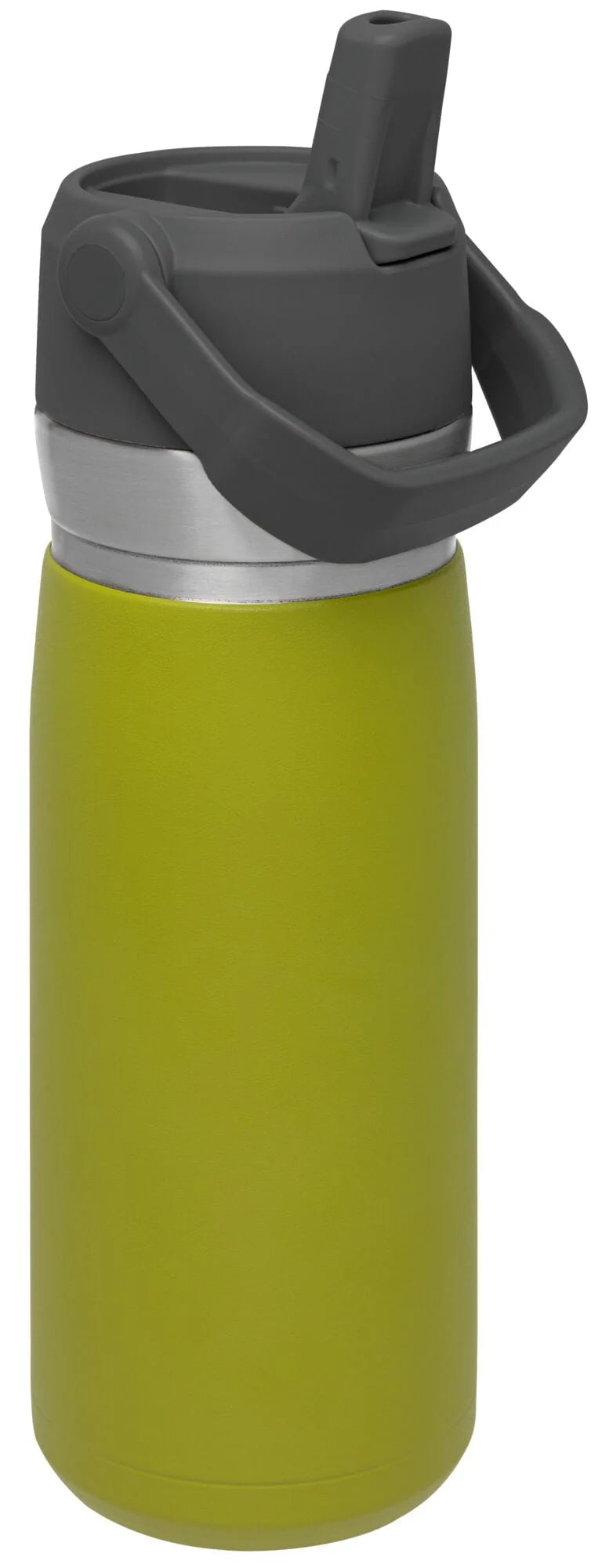 22 oz Insulated Stainless Steel Water Bottle with Straw and Flip-Top Lid Q262375
