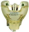 Bare Lamp Projector Bulb A354834