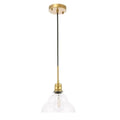 1-Light Clear Seeded Glass Brass T12387