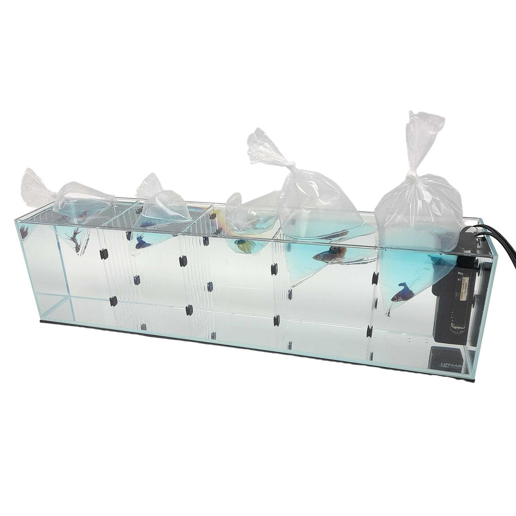 Acrylic Aquarium U551223