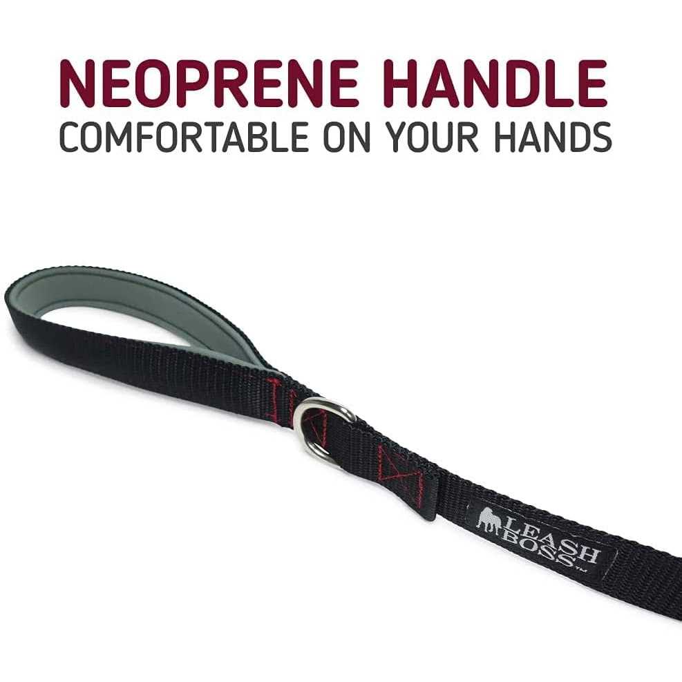10 Foot Dog Leash with Padded Handle S1930
