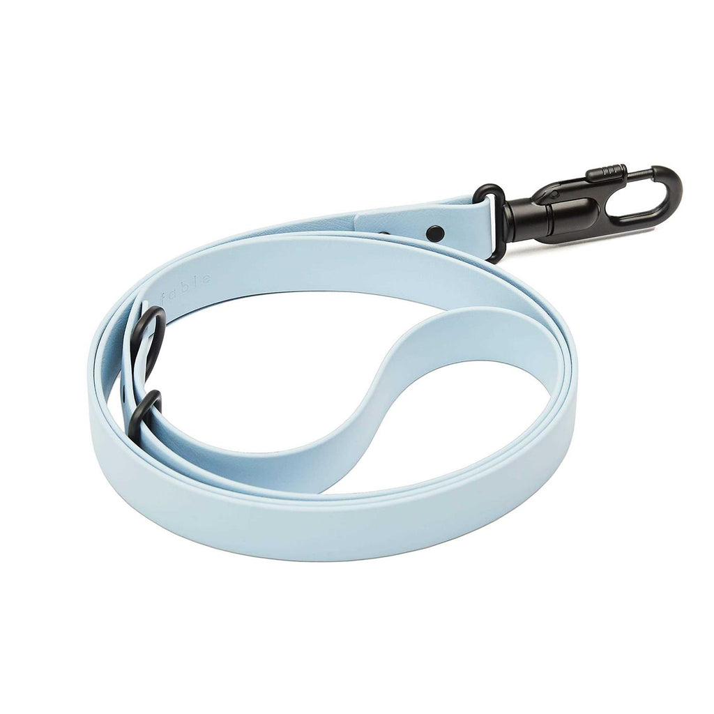 Dog Leash R48779