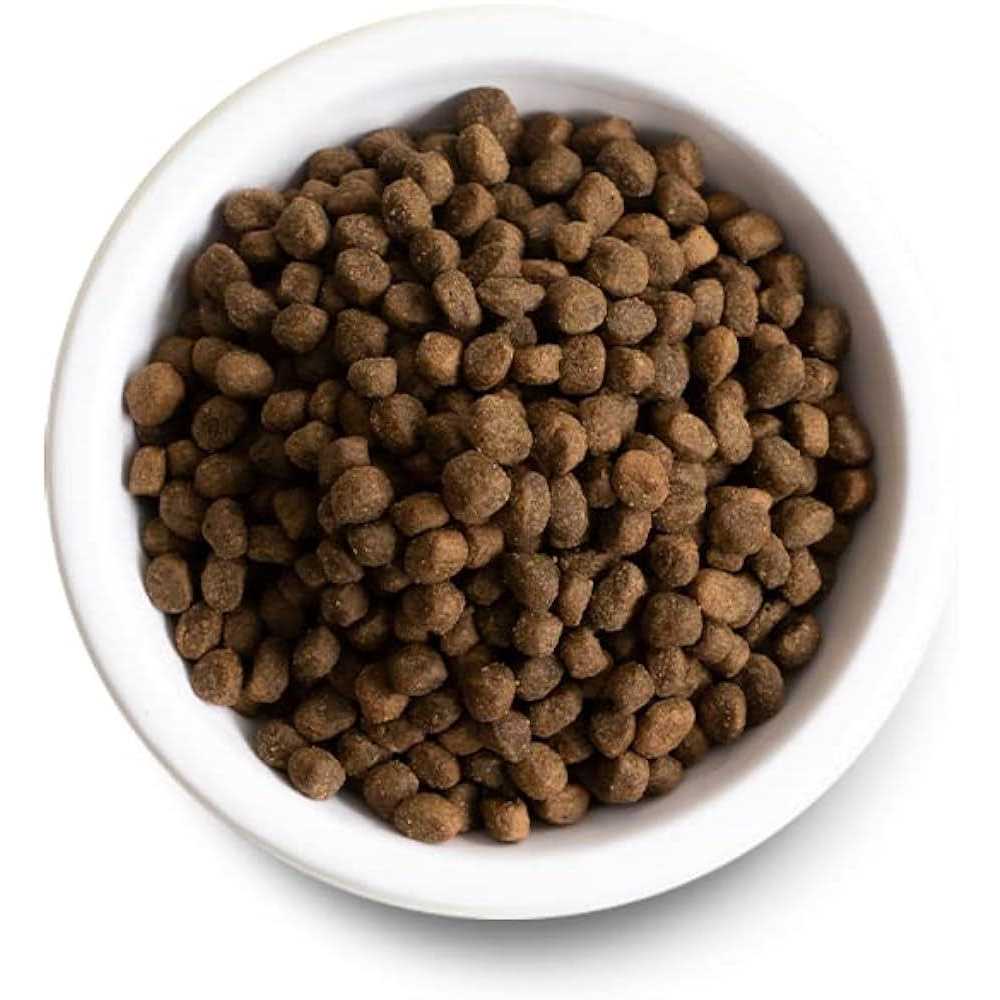 Ancient Grains Dog Food O550691