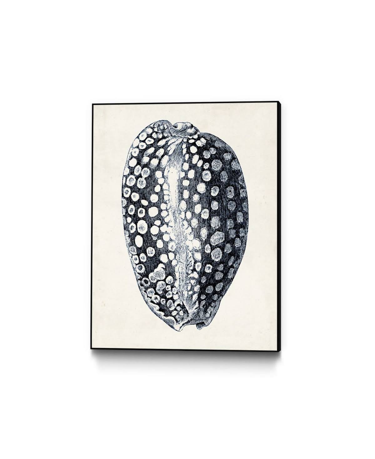 Framed Canvas Q5217