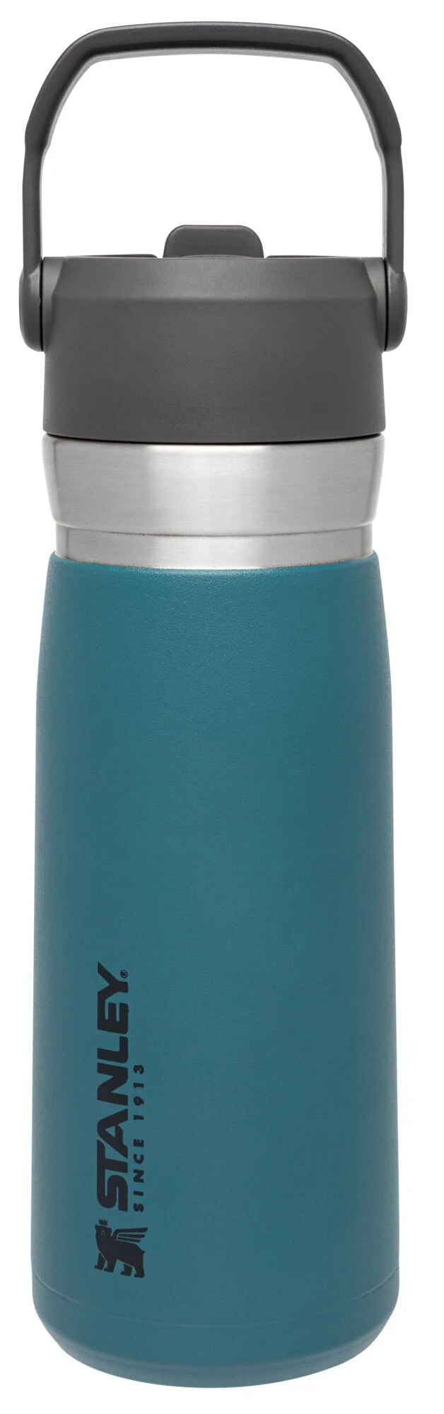 22 oz Insulated Stainless Steel Water Bottle with Straw and Flip-Top Lid Q262375