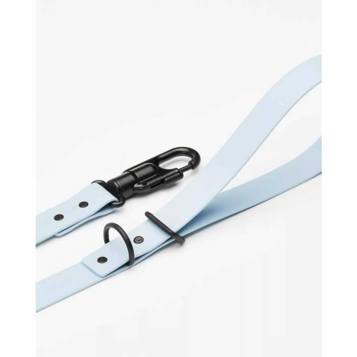 Dog Leash R48779