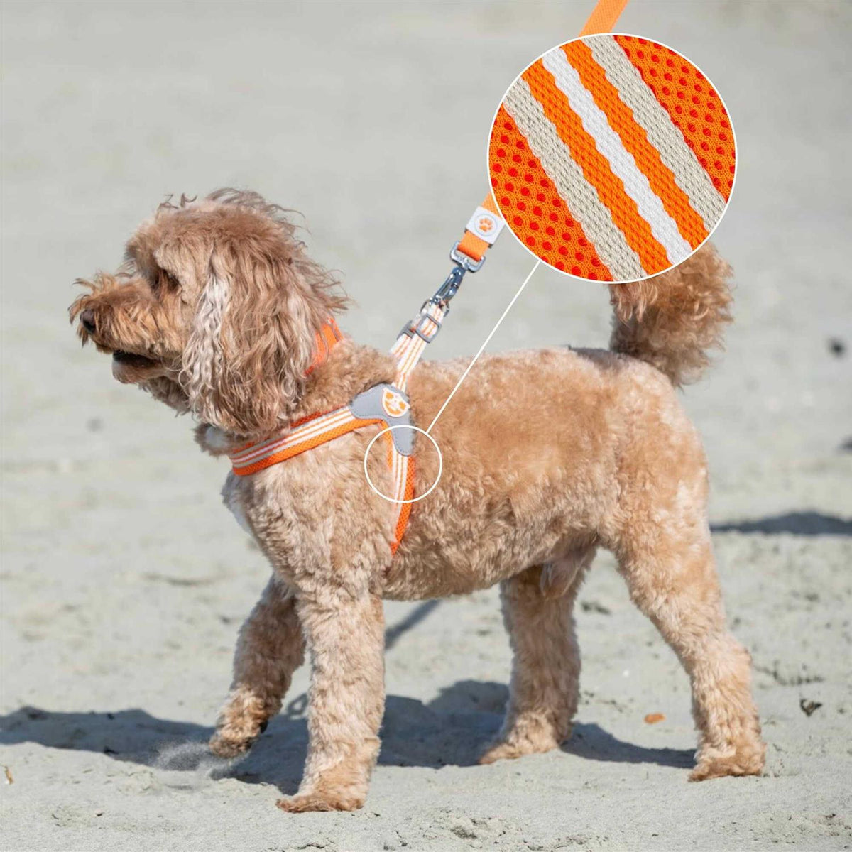 Dog Harness V8400