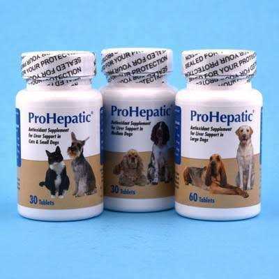 Liver Support Chewable Tablets Dogs J442417