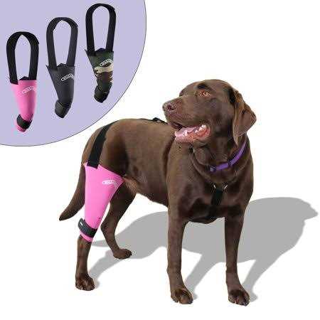 Dog & Cat Knee Brace A556