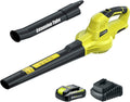 Cordless Leaf Blower with Battery P107