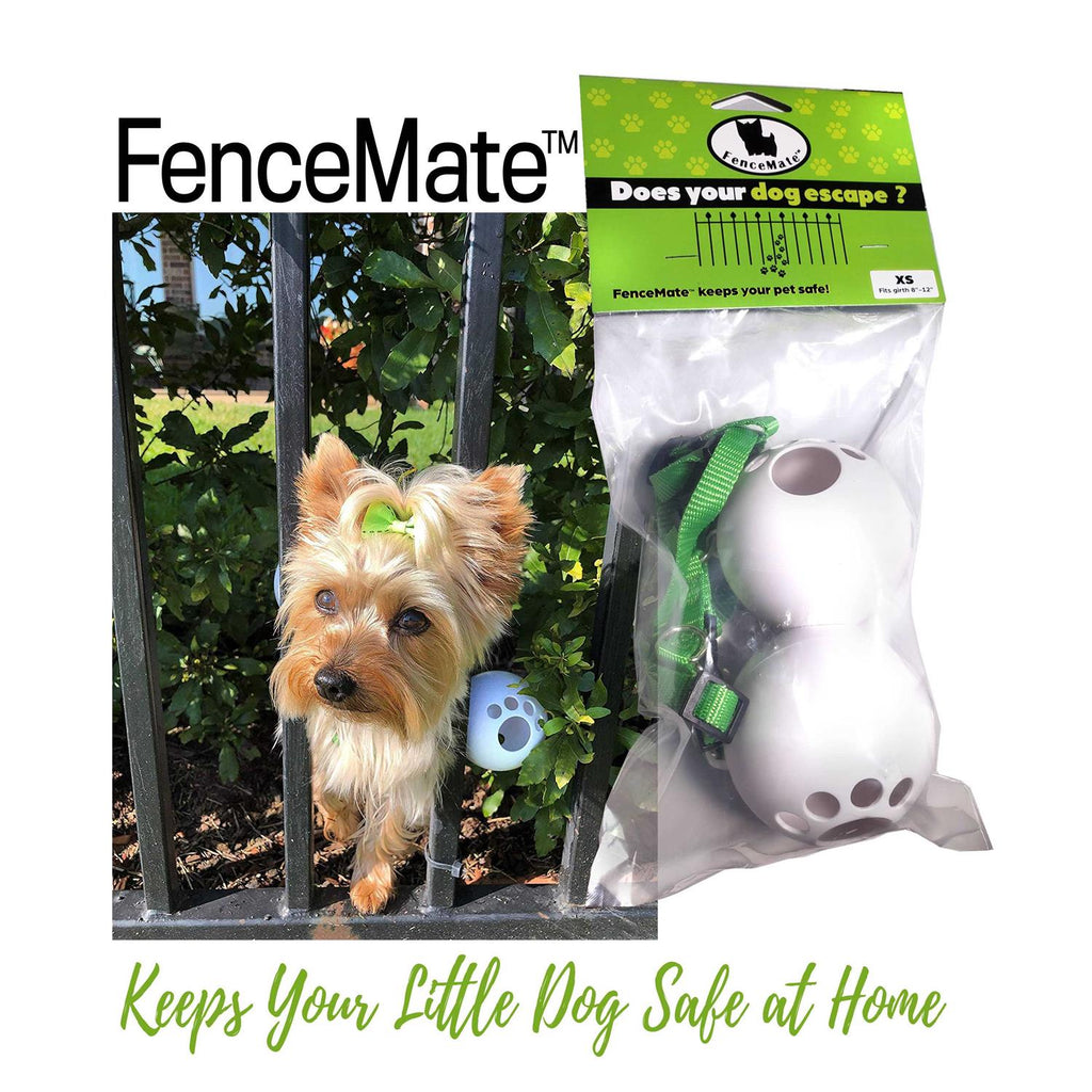 Dog Harness M585