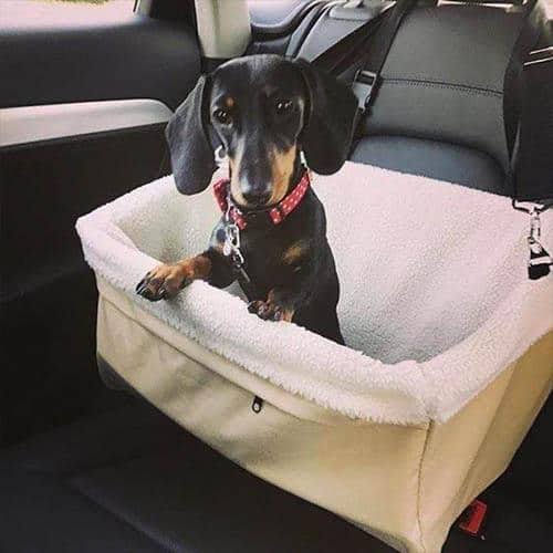 Car Safety Seat Q8306