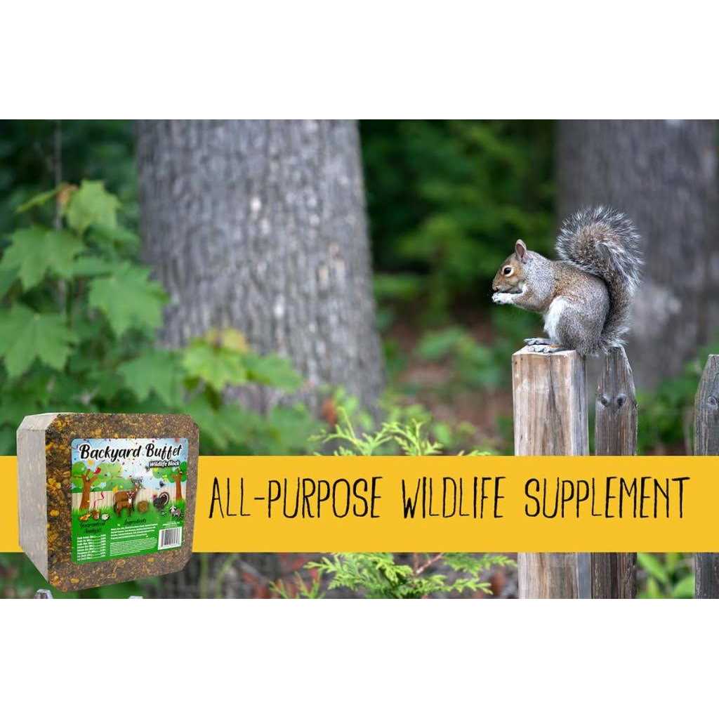 Backyard Buffet Wildlife Treat K463