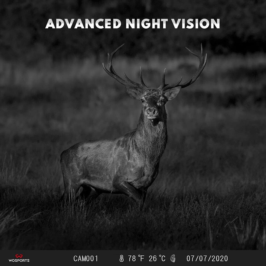 2 Pack Mini Trail Camera 1080P Waterproof N214149