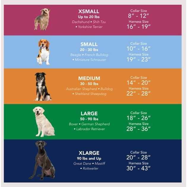 Dog Flea Collar M518381