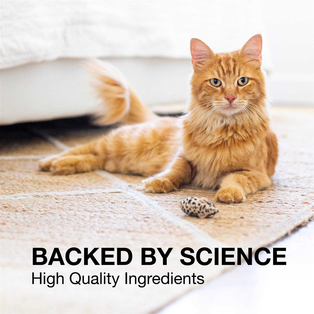 Liver and Brain Health Supplement for Small Dogs & Cats C3950
