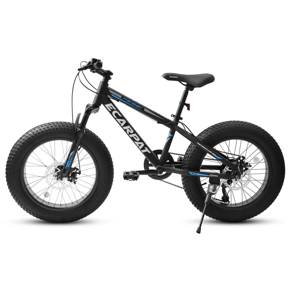20 inch Black Fat Tire Bike with Disc Brakes 7 Speed E998884