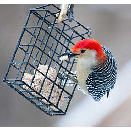 High Energy Suet Cakes Q694