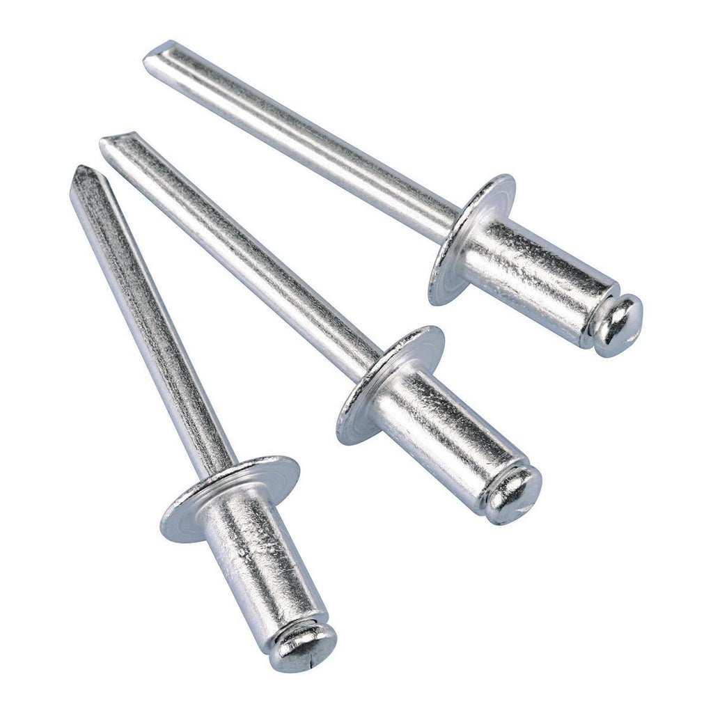 1/4 in. Aluminum Blind Rivet Set, 100 Piece Q681529