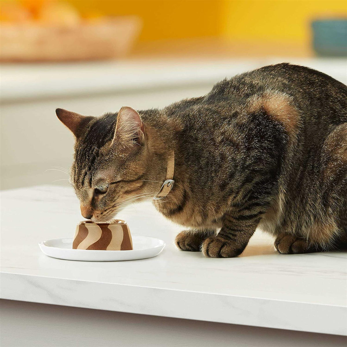 Cat Food B1703