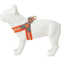 Dog Harness V8400