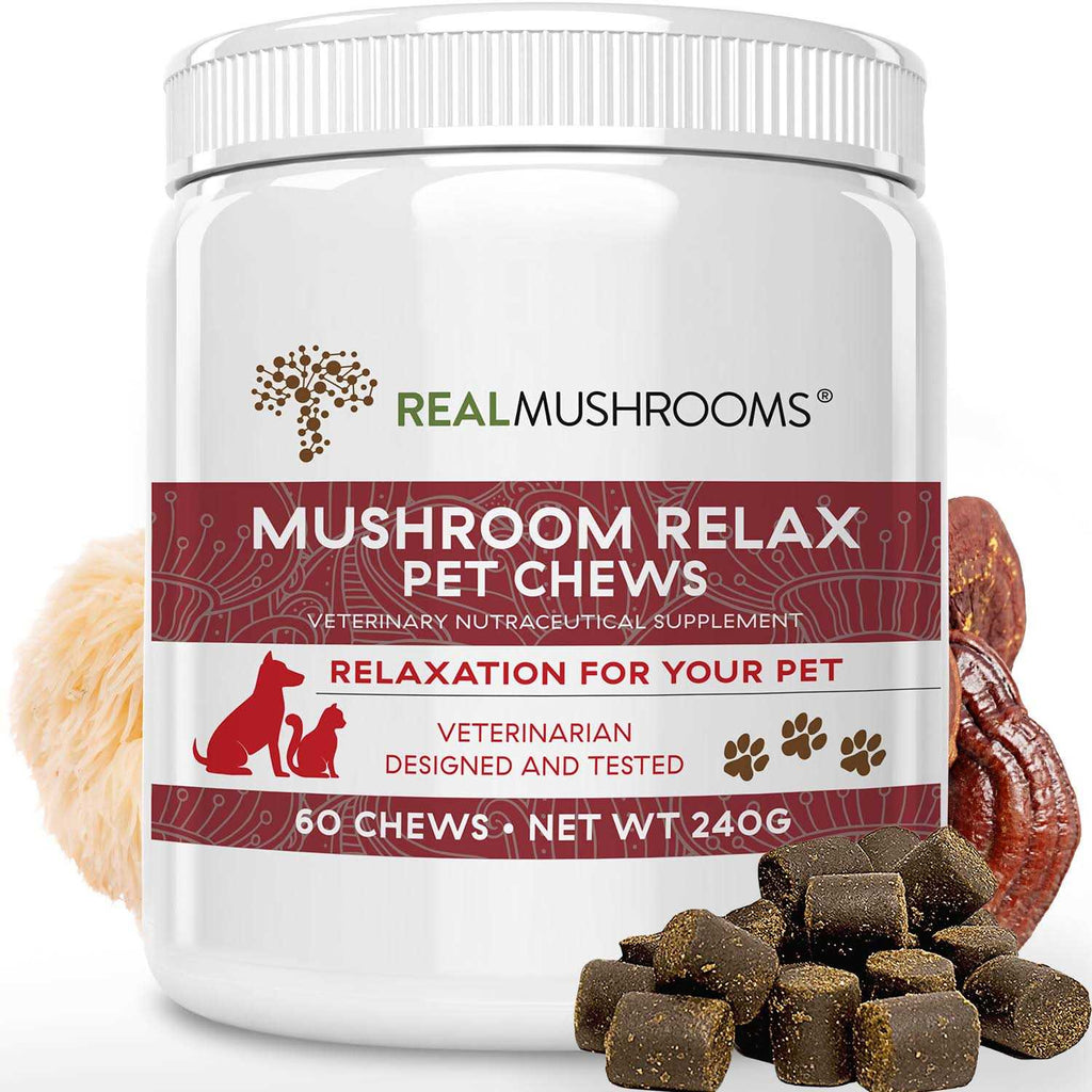 Mushroom Relax Pet Chew I7446