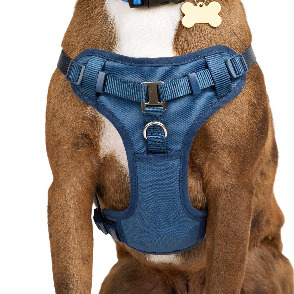 Padded Step-in Dog Harness A13614