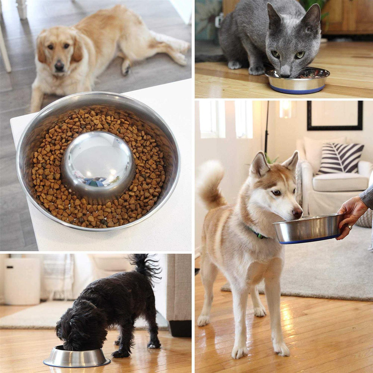 Cat Bowl O5740