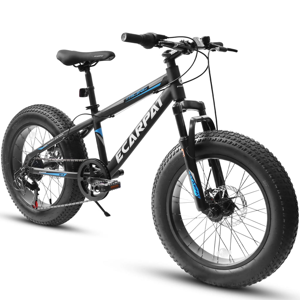 20 inch Black Fat Tire Bike with Disc Brakes 7 Speed E998884
