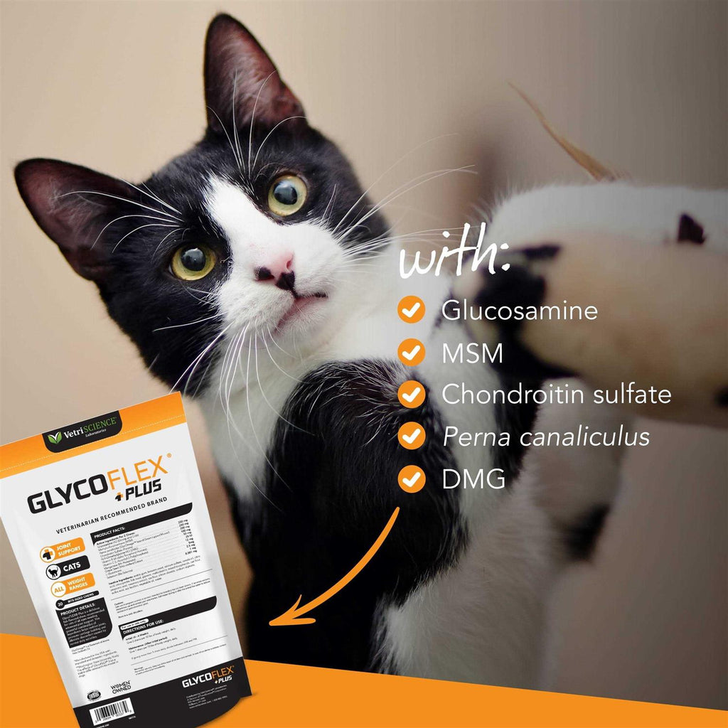 Hip & Joint Support for Cats A8312
