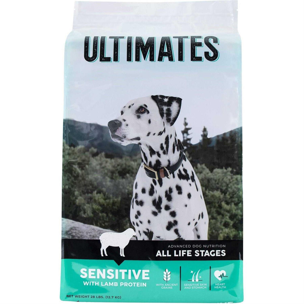 Sensitive Lamb Protein Dry Dog Food H5843