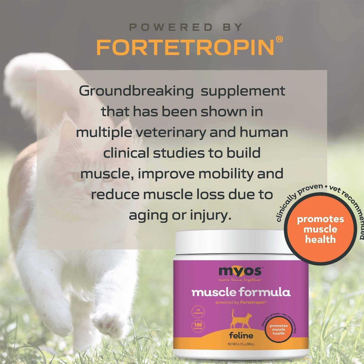 Feline Muscle Formula N6793