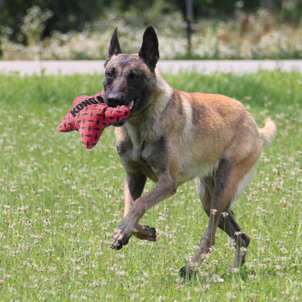 Dog Toy Q3685