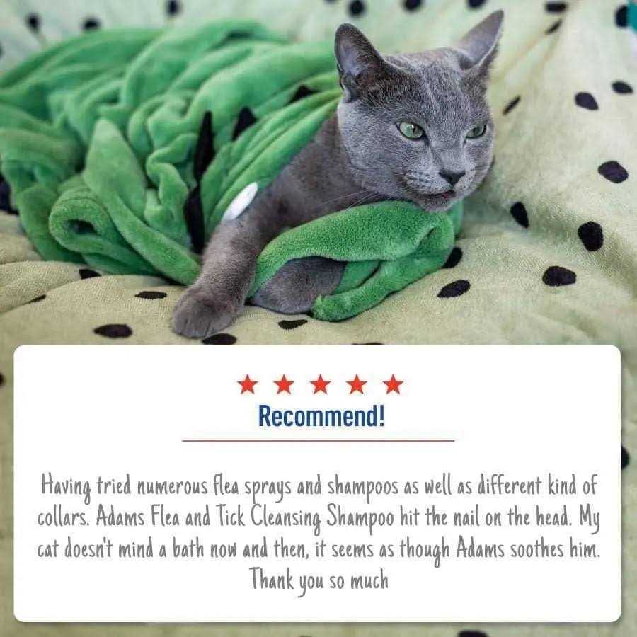 Flea Tick Shampoo R5756