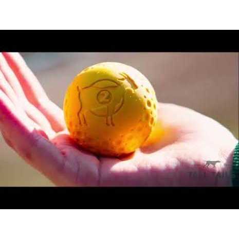 Goat Sport Ball Dog Toy D311
