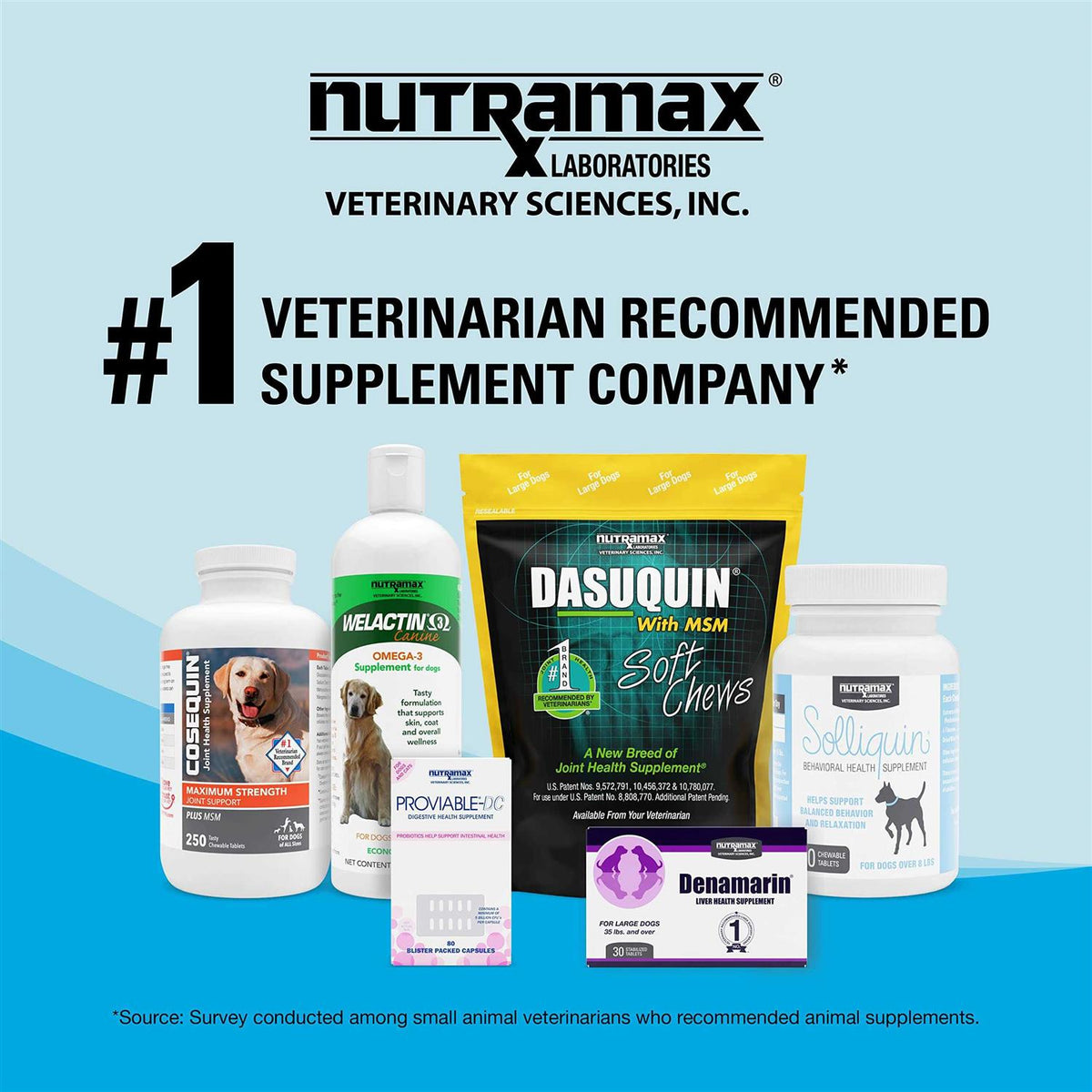 Denosyl Tablets Liver & Brain Supplement for Medium Dogs R83528