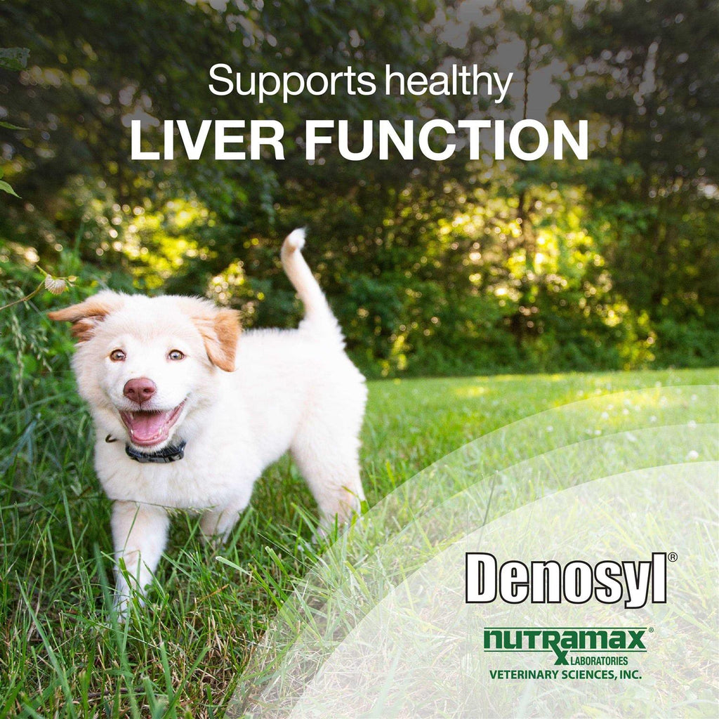Denosyl Tablets Liver & Brain Supplement for Medium Dogs R83528