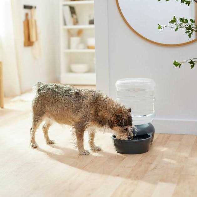 Gravity Waterer H769