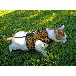 Cat Harness T4640
