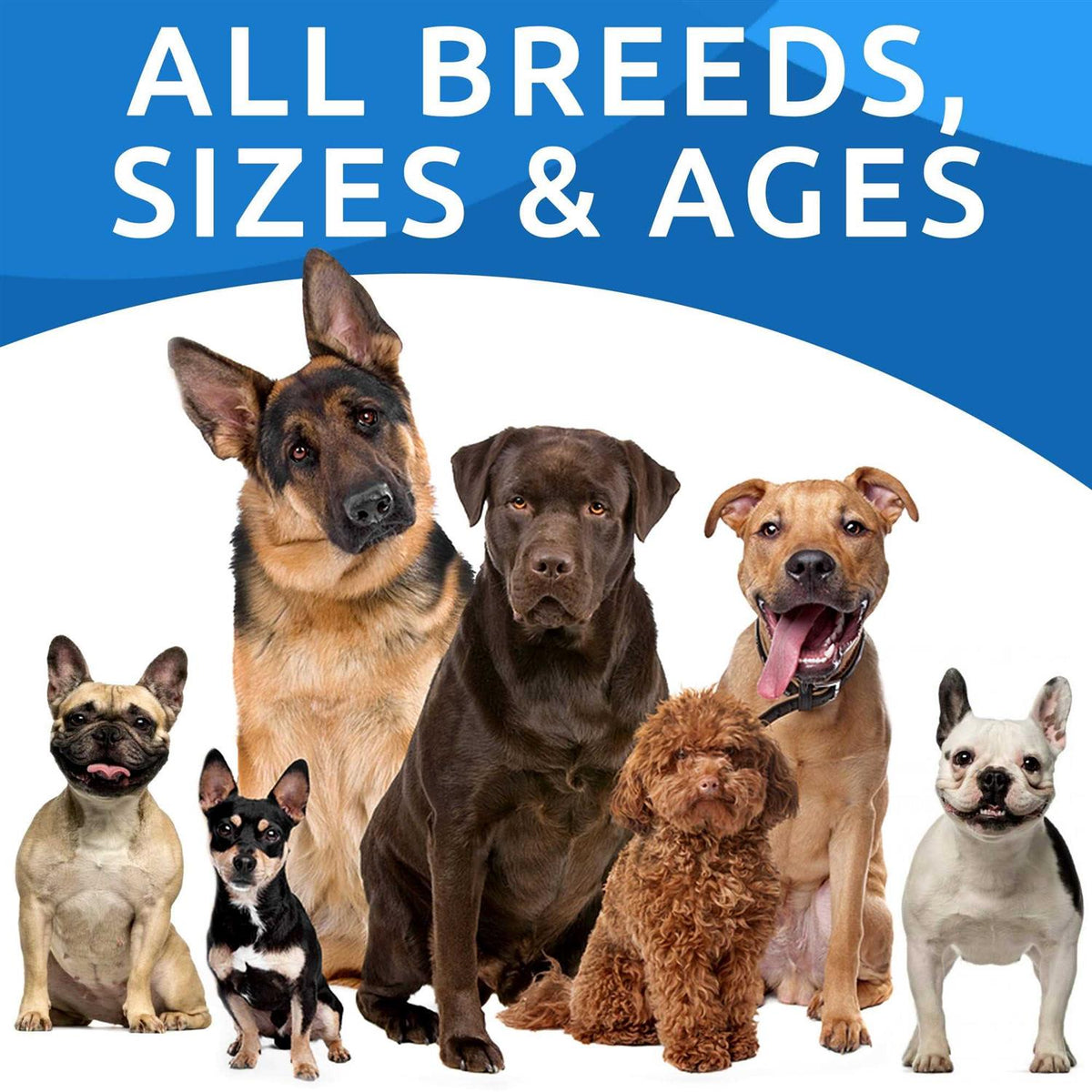 Dog Allergy Relief Chews Skin & Coat Supplement H3400