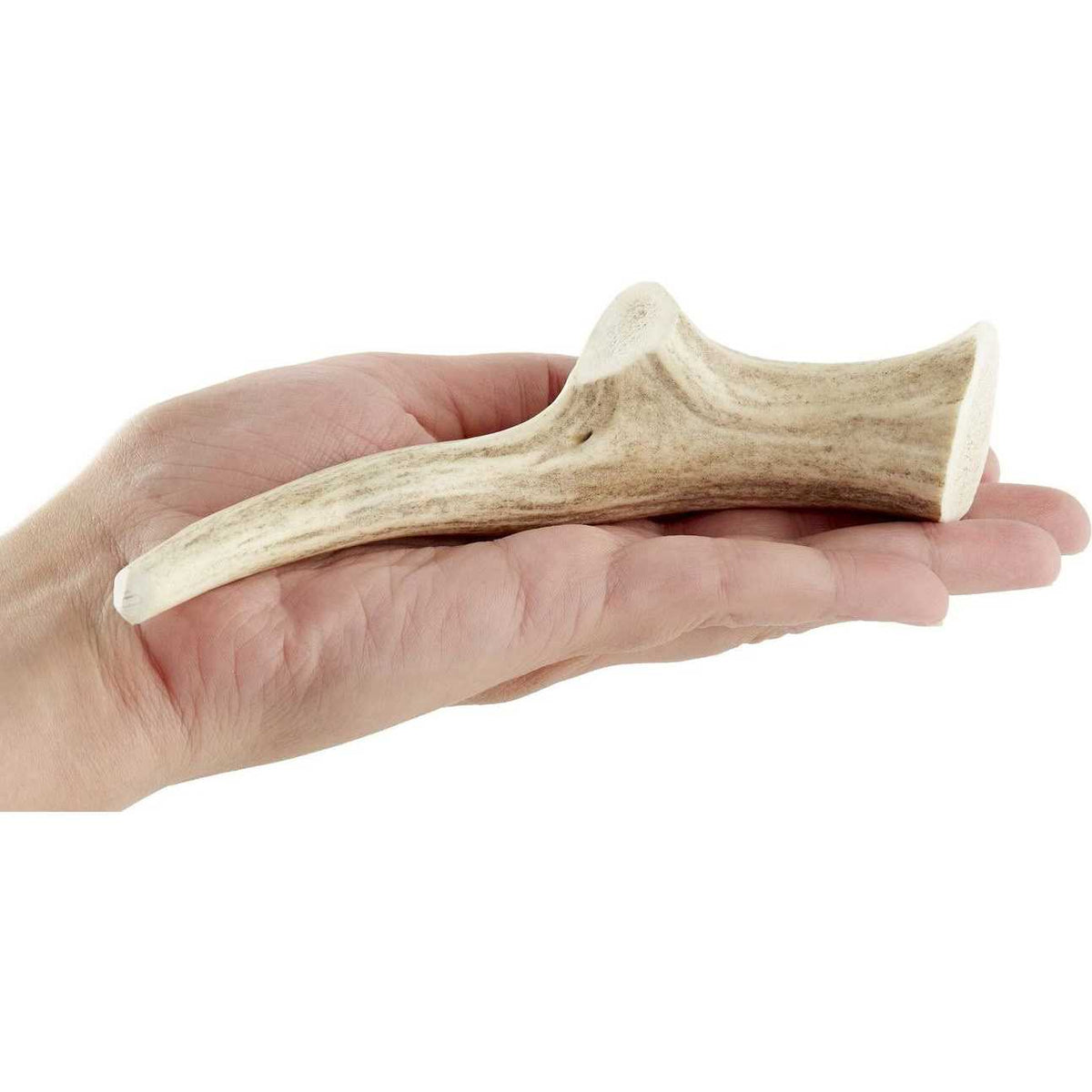 Antler Chew F603