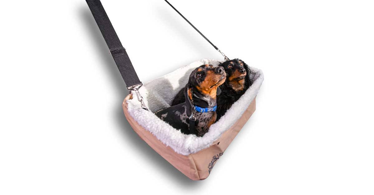 Car Safety Seat Q8306