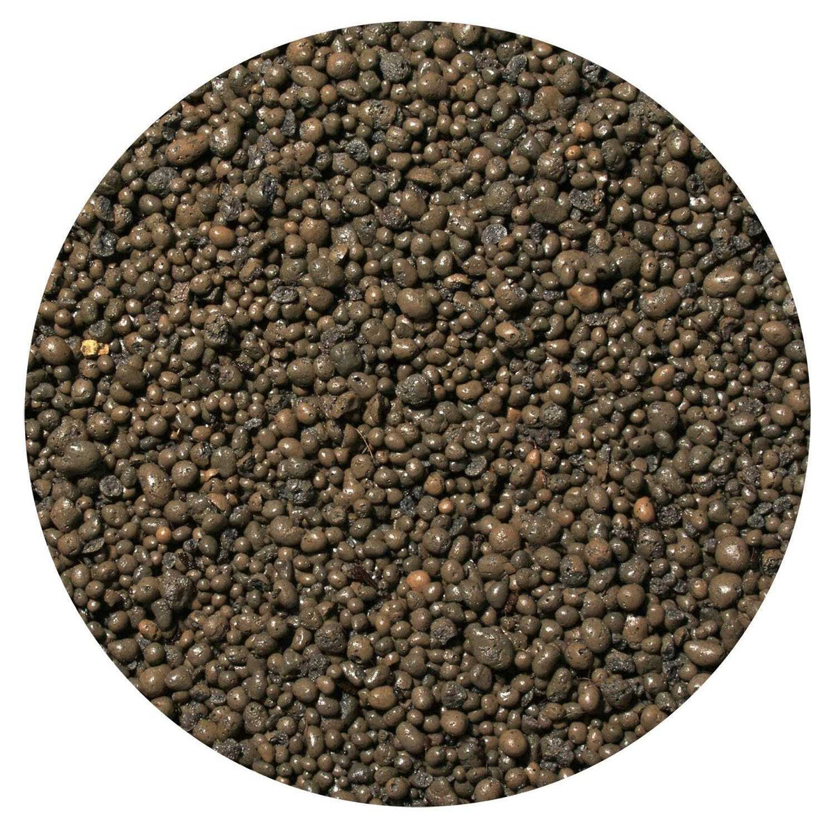Clay Terrarium Substrate W4031